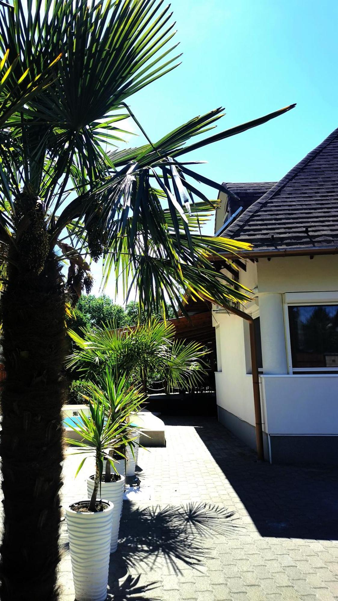 Willa House4U Balatonszárszó Zewnętrze zdjęcie