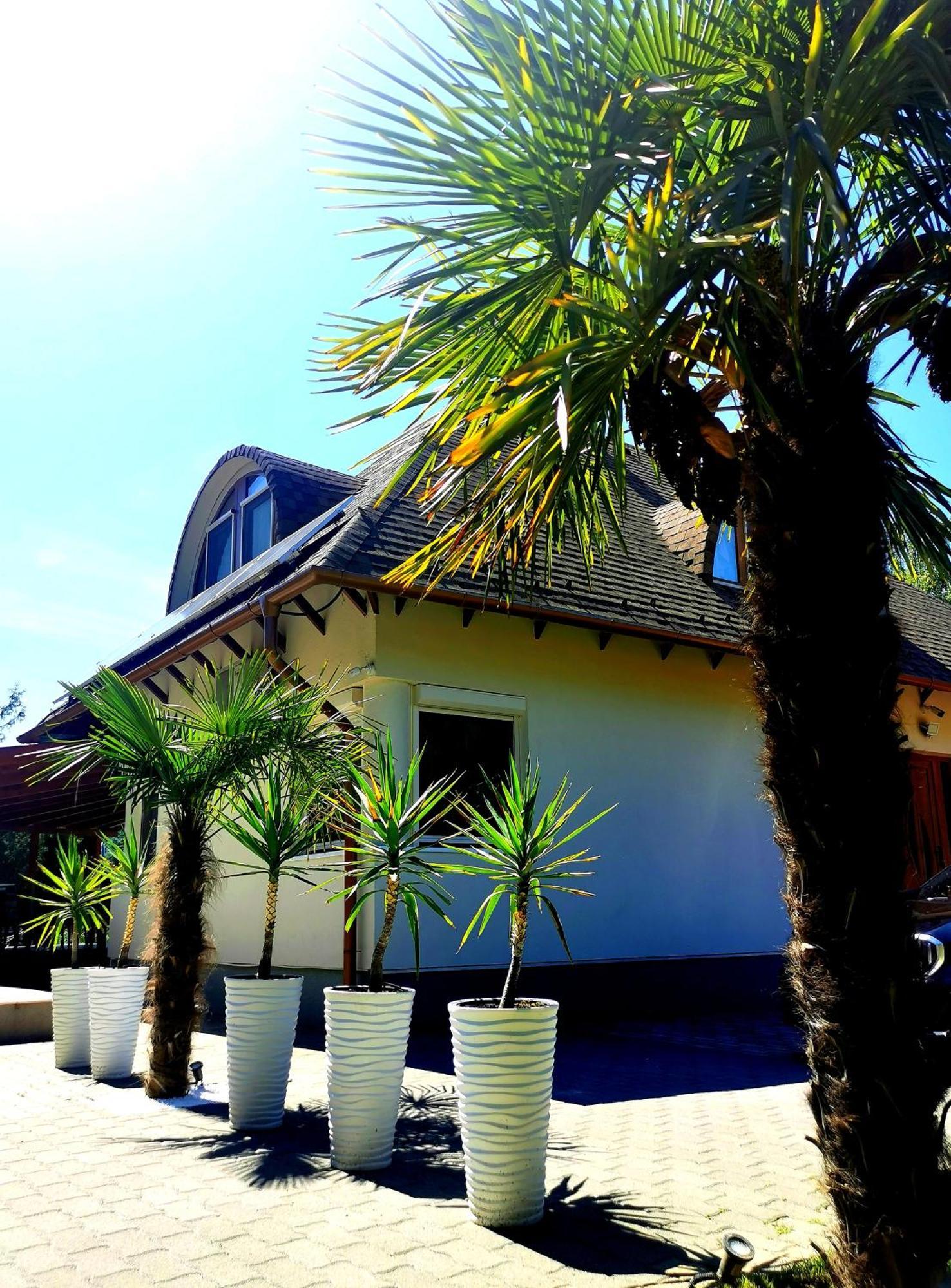 Willa House4U Balatonszárszó Zewnętrze zdjęcie
